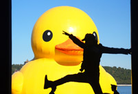 Admirers to bid joyful goodbye to Rubber Duck