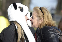 Belgians warmly welcome arrival of China's giant pandas